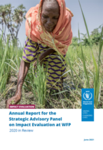 Annual Report 2020 for the Strategic Advisory Panel on Impact Evaluation at WFP